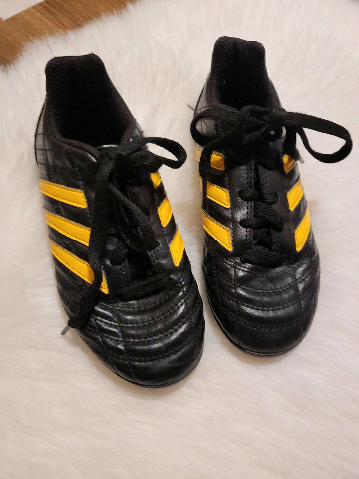 Schuhe Fussballschuhe Adidas Sportschuhe in Werlte 
