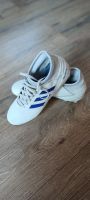 ADIDAS PREDATOR Fußballschuhe Gr. 38 Rasen / Kunstrasen Rheinland-Pfalz - Ingelheim am Rhein Vorschau