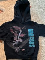 Hoodie Dragons, Größe 98 Niedersachsen - Lilienthal Vorschau