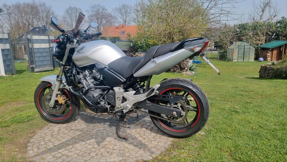 Honda CBF 600 in Fürstenwalde (Spree)