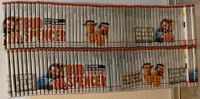 Bud Spencer & Terence Hill DVD Collection (110 DVD`s) Nordrhein-Westfalen - Krefeld Vorschau