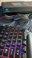 Gamingtastatur und Maus für PC, Switch, Playstation, X-Box, LED Baden-Württemberg - Ellwangen (Jagst) Vorschau