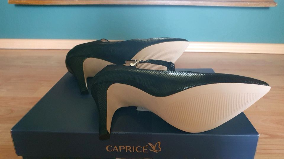 Caprice Pumps,  Schlangenleder Optik schwarz in Tangstedt 