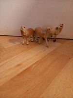 3 Schleich Ponys Thüringen - Bürgel Vorschau