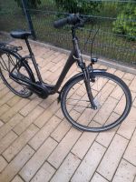 E-bike Raleigh dover 7 HS impulse 2.0 München - Pasing-Obermenzing Vorschau