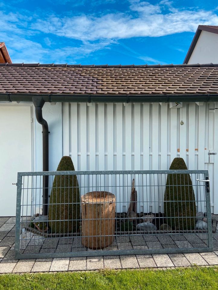 Einfahrtstor mit Tür und drei Stahlsäulen, Stahl, verzinkt in Ingolstadt