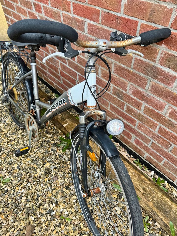 Damenrad Fahrrad 26“ Zoll in Hambühren