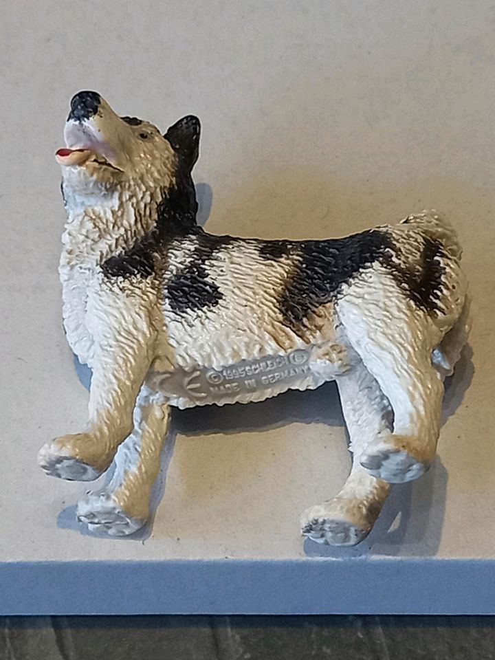 Schleich husky hund von 1995 im gutem Zustand in Glauchau