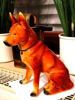 Alte Porzellan Figur Hund Deutscher Schäferhund ca. 21cm, Deko Hessen - Hofgeismar Vorschau