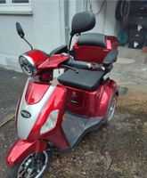 Rolektro Trike Scooter V3 Niedersachsen - Wolfenbüttel Vorschau