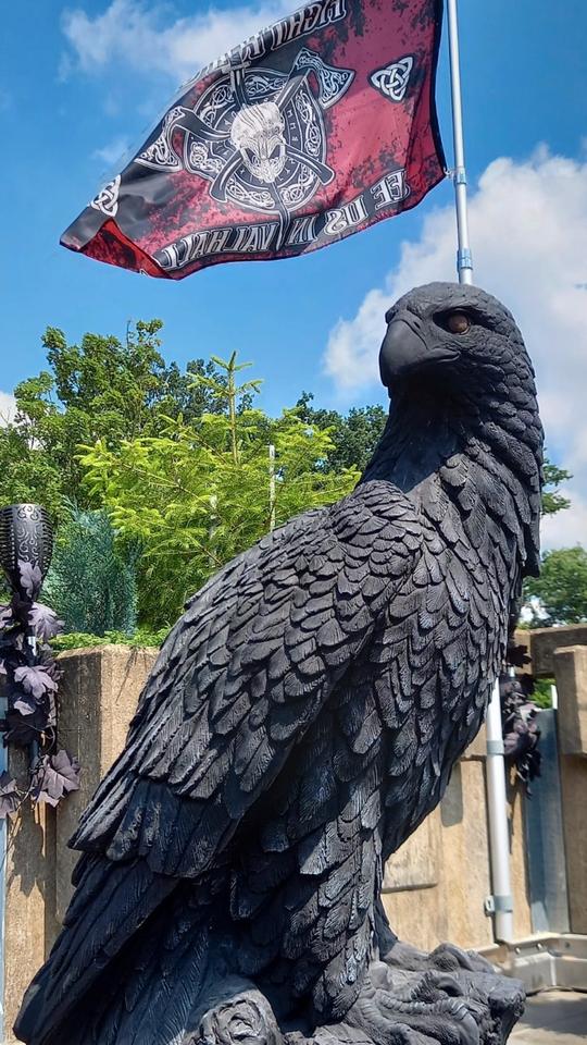 ‼️Adler 100kg 106cm Seeadler Greifvogel Eagle Harley Steinadler‼️ in Hannover