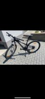 Specialized 2016 Pitch 650 B schwarz/weiß,  xs Saarland - Freisen Vorschau