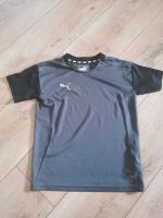 Sportshirt 140 junge puma top zustand Bochum - Bochum-Nord Vorschau