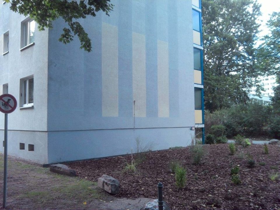 WDVS, Fassade, Anstrich, Wärmedämmung in Solingen