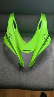 Kawasaki Ninja ZX-10R / RR 2016 - 2020 Maske / Kanzel Bayern - Aitrang Vorschau