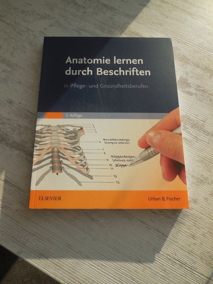 Anatomie lernen durch Beschriften in Wildau