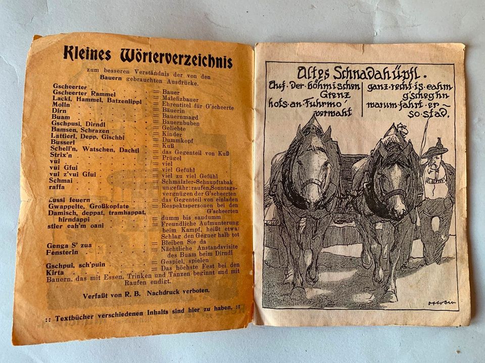 Platzl München Programmheft Schnadahüpfl Gedichte Karikatur 1900 in Bad Königshofen