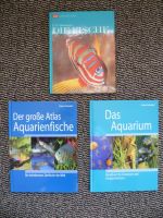 Aquarium Bücher Claus Schaefer der gr. Atlas Aquarienfische Nordwestmecklenburg - Landkreis - Grevesmuehlen Vorschau