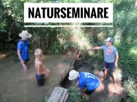 Naturseminar oder Waldseminar auf dem Erlebnisbauernhof Bayern - Niederbergkirchen Vorschau