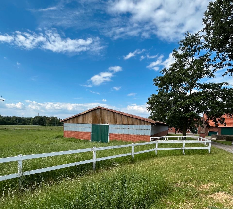 Pferdehof/kleine Reitanlage im Münsterland in Horstmar