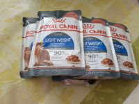 Royal Canin Light Weight Köln - Zollstock Vorschau