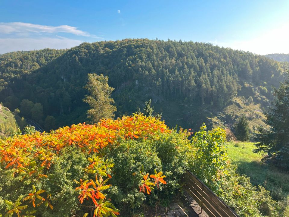 600m² Ferienhaus für Freunde 10-30 Personen Möglich Pottenstein in Pottenstein