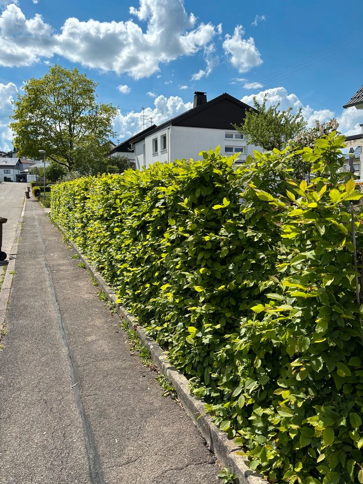 Gartenbau, Landschaftsbau in Villingendorf