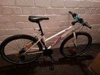 Fahrrad Rockrider 300 26 zoll Steele / Kray - Essen Freisenbruch Vorschau