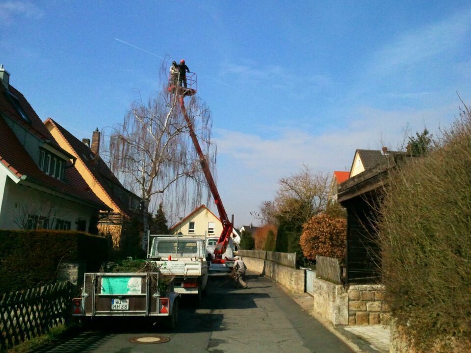 Gartenbau Arbeiten Planen Gestalten Pflegen Dienstleistungen in Ochsenfurt