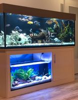 684l Aquarium mit Unterschrank, Beleuchtung Nordrhein-Westfalen - Lage Vorschau
