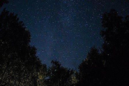 Nacht unter tausend Sternen & Baumwipfeln - 21.-22.06.24 in Mühldorf a.Inn