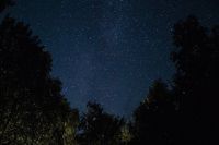 Nacht unter tausend Sternen & Baumwipfeln - 21.-22.06.24 Bayern - Mühldorf a.Inn Vorschau