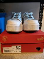 Puma Sneaker Turnschuhe Nordrhein-Westfalen - Troisdorf Vorschau