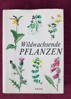 Podhajska, Z.; Hisek, K. ☘️Wildwachsende Pflanzen ☘️1986 ☘️☘️☘️☘️ Altona - Hamburg Blankenese Vorschau