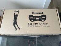 Ballsy Board trainingsboard kletterboard Hessen - Ginsheim-Gustavsburg Vorschau