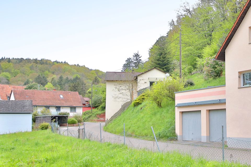 Traumgrundstück mit Bachlauf und eigener Quelle! in Münchweiler am Klingbach