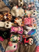 Beanie Boos von ty - je 3€ Rheinland-Pfalz - Saarburg Vorschau