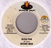 Beenie Man / Hollow Point – Suga Pan / Jump Up Baden-Württemberg - Mannheim Vorschau