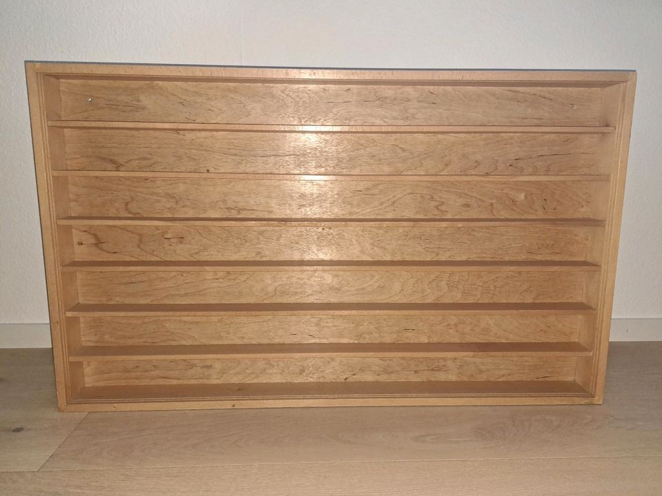 Holz Regal / Sammler Vitrine * ca. 100 x 60 x 7,5 cm in Allmersbach