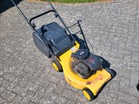 Rasenmäher ALKO 46 b classic, Briggs & Stratton Motor Güstrow - Landkreis - Teterow Vorschau