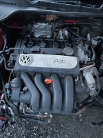 Vw Audi Seat Skoda Motor 2.0 Fsi BVY Hessen - Haiger Vorschau