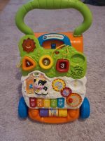 Vtech Spiel und laufwagen Niedersachsen - Delmenhorst Vorschau