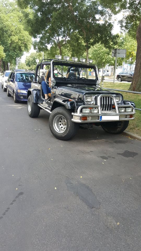 Pkw Jeep Wrangler YJ Unikat top Zustand in Dresden