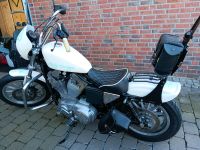 HARLEY DAVIDSON SPORTSTER 883 EVO Nordrhein-Westfalen - Wassenberg Vorschau