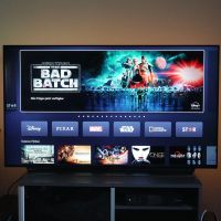 LG OLED 4K TV - 55 Zoll, Top-Zustand, gekauft am 23.10.2020 Niedersachsen - Seevetal Vorschau