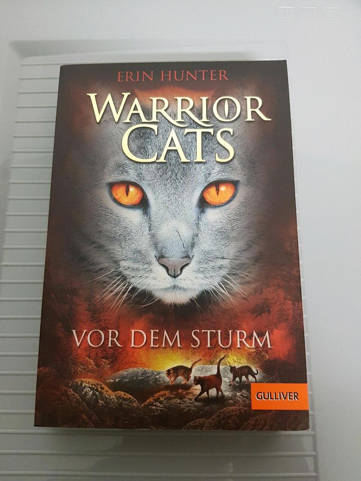 Warrior Cats- Vor dem Sturm, Versand 2,55€ in Heilsbronn