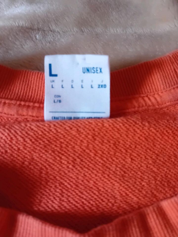 Reebok  Universität Pullover. Größe  L in Mühlhausen-Ehingen