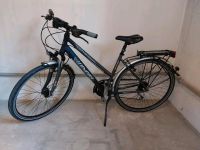 Damen Fahrrad Winora Bermuda 28 Zoll   24 Gänge Baden-Württemberg - Ulm Vorschau