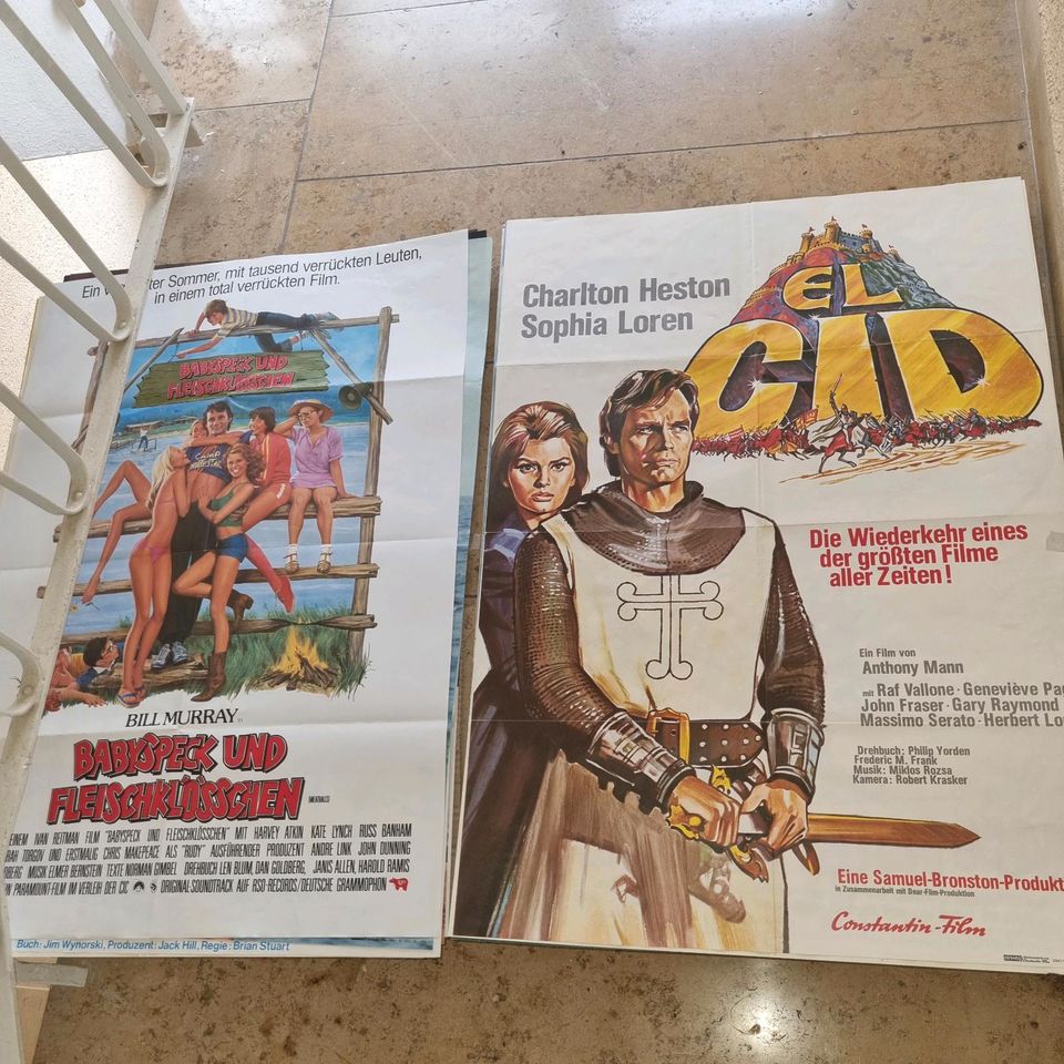 26 vintage Filmplakate in Wiesbaden