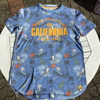 WE Jungen Shirt Sommer 158/164 toller Print Surfer Sachsen-Anhalt - Theeßen Vorschau